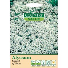 Fothergills Alyssum Carpet Of Snow Fothergills Alyssum Carpet Of Snow
