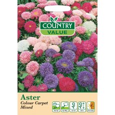 Fothergills Aster Colour Carpet Mixed