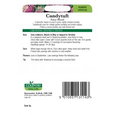 Candytuft Fairy Mixed Cv Seeds