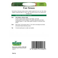 Cat Grass Cv Seeds