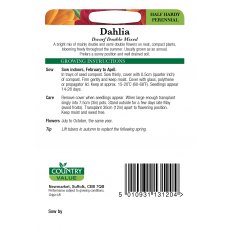 Dahlia Dwarf Double Mixed Cv Seeds