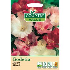 Godetia Dwarf Mixed Cv Seeds