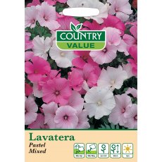 Lavatera Pastel Mix C V Seeds Lavatera Pastel Mix C V Seeds