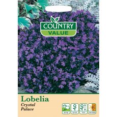 Lobelia Crystal Palace C V Seeds