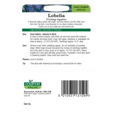 Lobelia Trailing Sapphire C V Seeds
