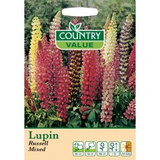 Lupin Russell Mixed C V Seeds