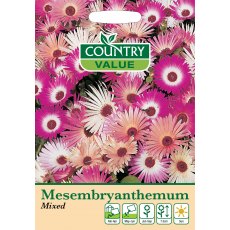 Mesembryanthebum Mixed C V Seeds
