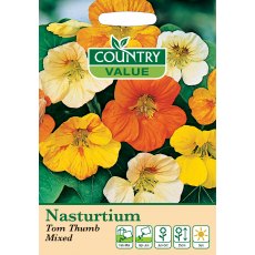 Nasturtium Tom Bum Mix C V Seeds