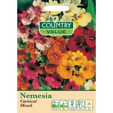 Nemesia Carnival Mixed Cv Seeds