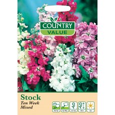 Stock Ten Week Mixed C V Seeds
