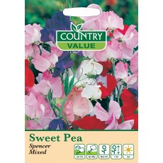 Sweetpea Spencer Mixed C V Seeds