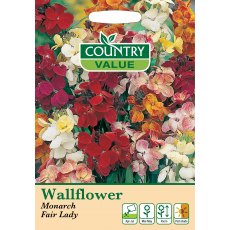 Wallflower Monarch Fairlady C V Seeds