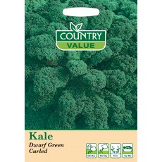 Kale Dwarf Green Curled C V Seeds