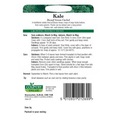 Kale Dwarf Green Curled C V Seeds
