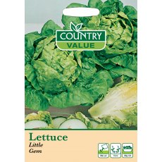 Lettuce Little Gem C V Seeds