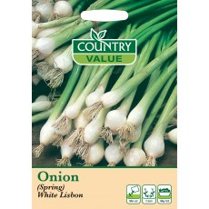 Onion Spring White Lisbon C V Seeds Onion Spring White Lisbon C V Seeds