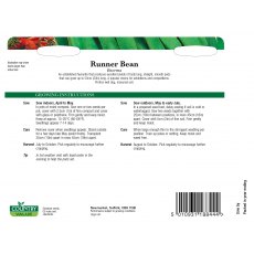 Runner Bean Enorma C V Seeds