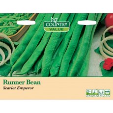 Runner Bean Scarlet Emperor C V Seeds