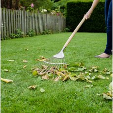 Kent & Stowe Stainless Steel Lawn Rake