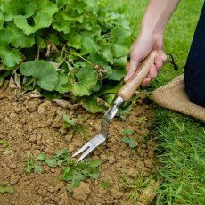 Kent & Stowe Stainless Steel Hand Weeder