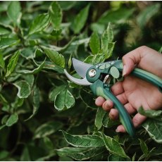 Gardener's Mate Bypass Secateurs