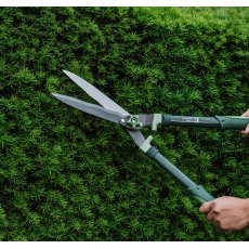 Gardener’s Mate Hedge Shears