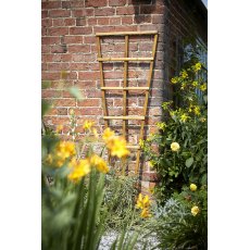 Tom Chambers H/duty Trellis - 180cm