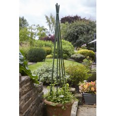 Tom Chambers Plant Stake - 90cm Tom Chambers Plant Stake - 90cm