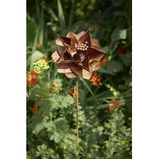 Tom Chambers Plant Stakes Rustic Starflower
