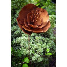 Tom Chambers Plant Stakes Rusty Oriental Poppy