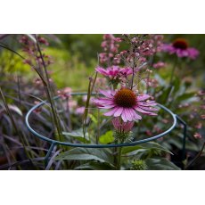 Tom Chambers Garden Ring - Large