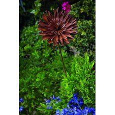 Tom Chambers Garden Stake Rustic Aster