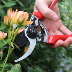 Darlac Professional Pruner