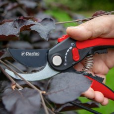 Darlac Adjustable Bypass Pruners