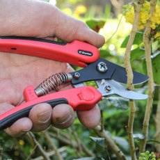 Darlac Compound Action Pruner