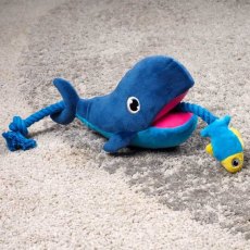 Zoon Whale Tugga Fish Zoon Whale Tugga Fish