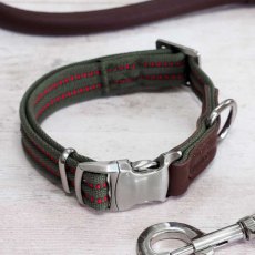 Zoon Primo Walkabout Dog Collar Medium - 31-47cm
