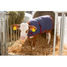Kerbl Calf blanket ThermoPlus - 80cm Kerbl Calf blanket ThermoPlus - 80cm