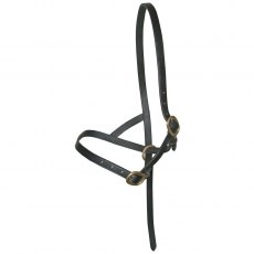 Leather Foal Slip Leather Foal Slip