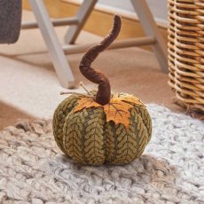SG XL Pumpkins