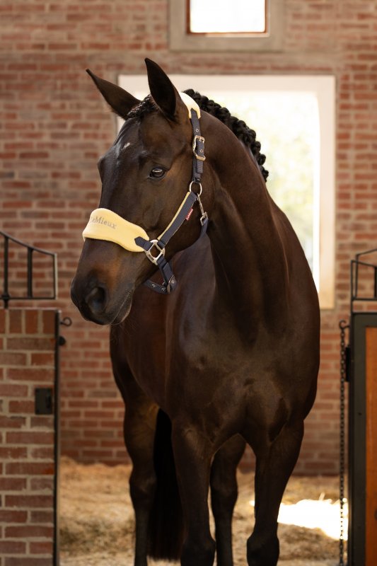 LeMieux LeMieux Vogue Headcollar