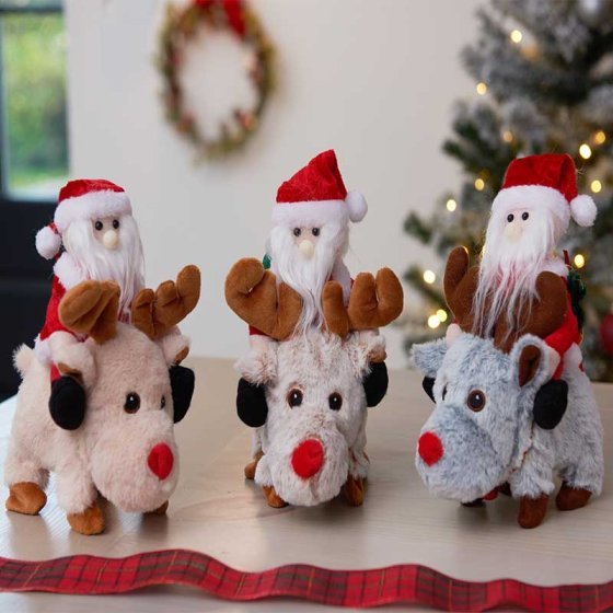 Smart Garden Products TK Santa Ride!