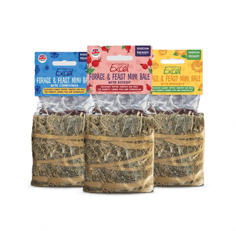Burgess Burgess Excel Small Animal Treats Forage & Feast - 100g