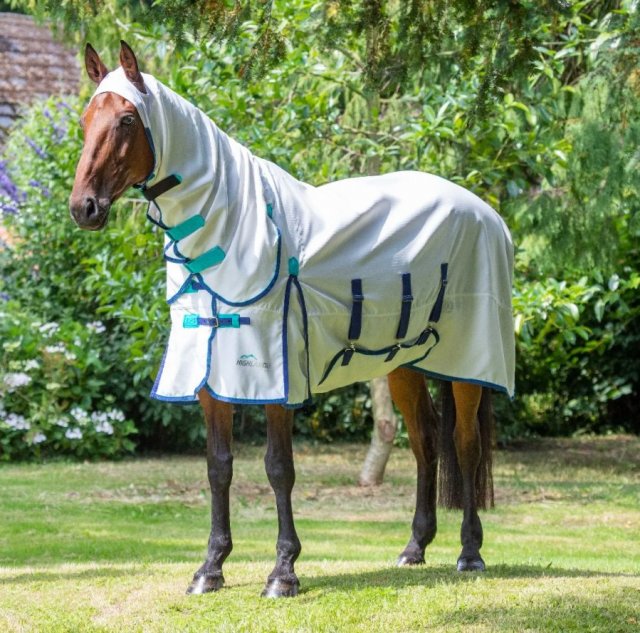 Shires Equestrian  Shires Highlander Plus Sweet Itch Combo Rug