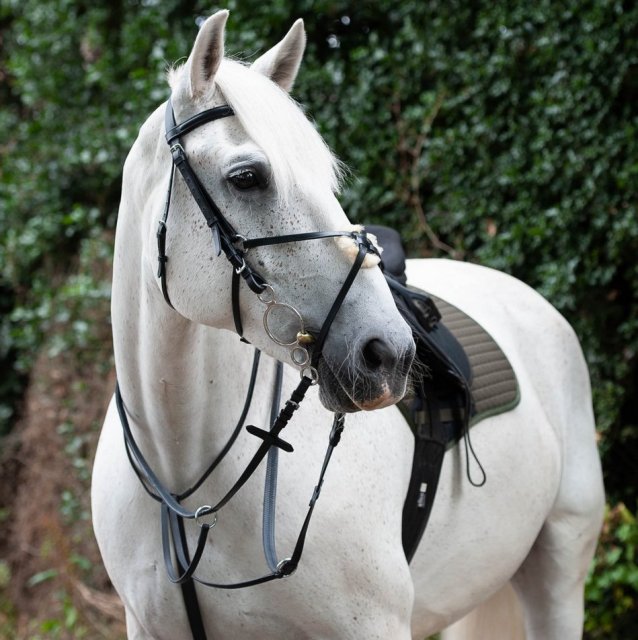 Gallop Gallop Breast Plate Martingale