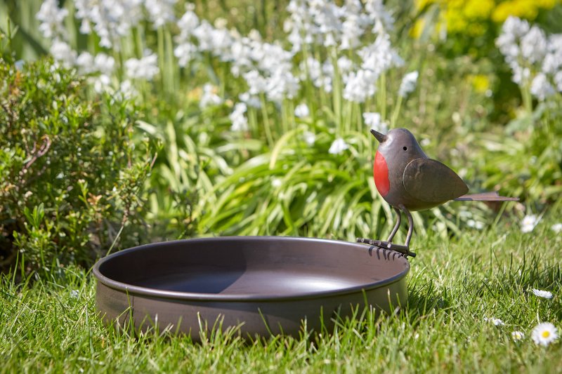Tom Chambers Tom Chambers Ground Bird Bath