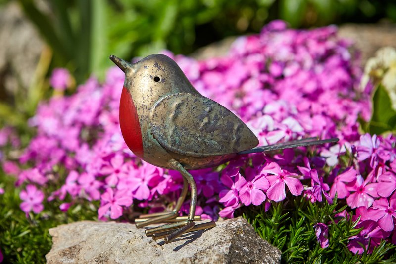 Tom Chambers Tom Chambers Robin Redbreast