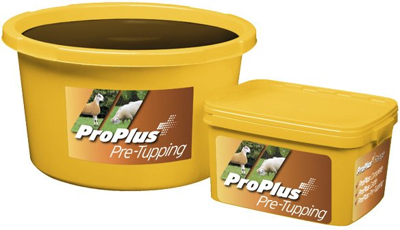 Scotmin Pro Plus Pre Tupping - 20kg