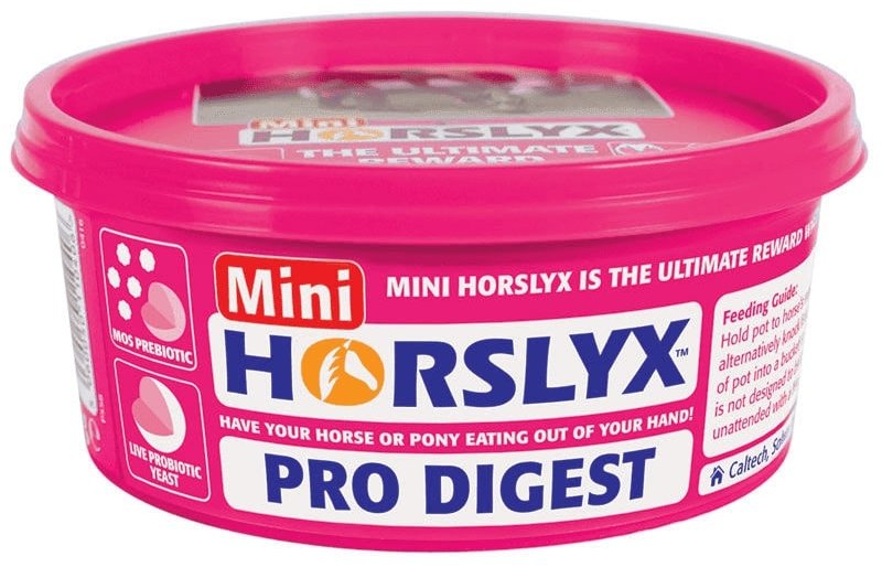 Horslyx Horslyx Mini Pro Digest - 650g