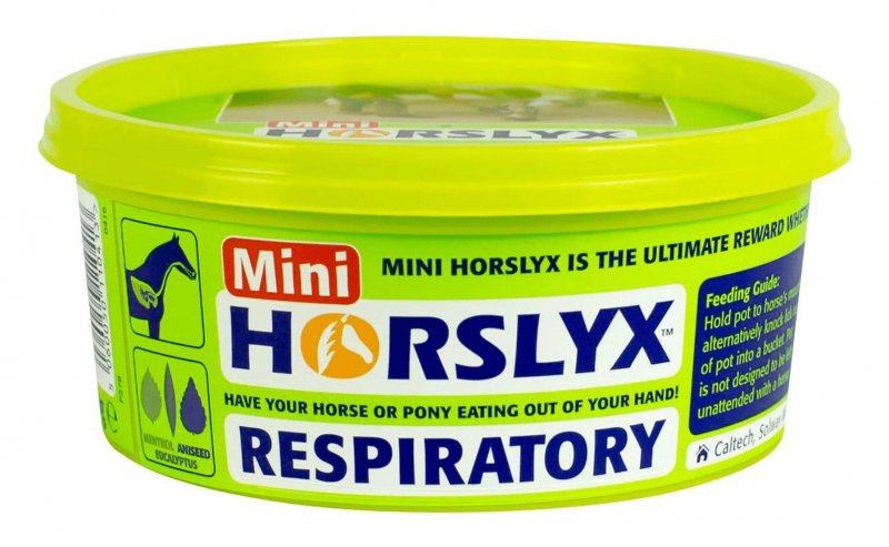 Horslyx Horslyx Mini Respiratory - 650g